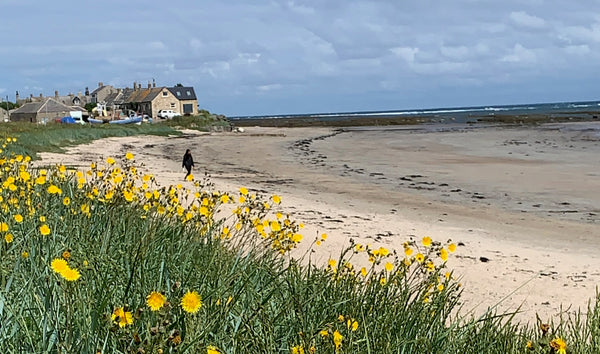 Boulmer Beach 