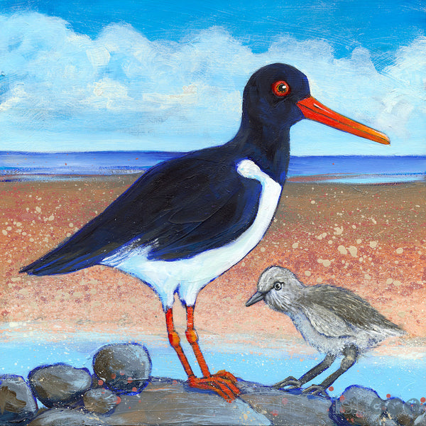 A painting of an Oystercatcher and chick on a sandy shoreline.