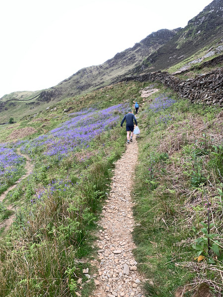 The Watkin Path Snowdonia