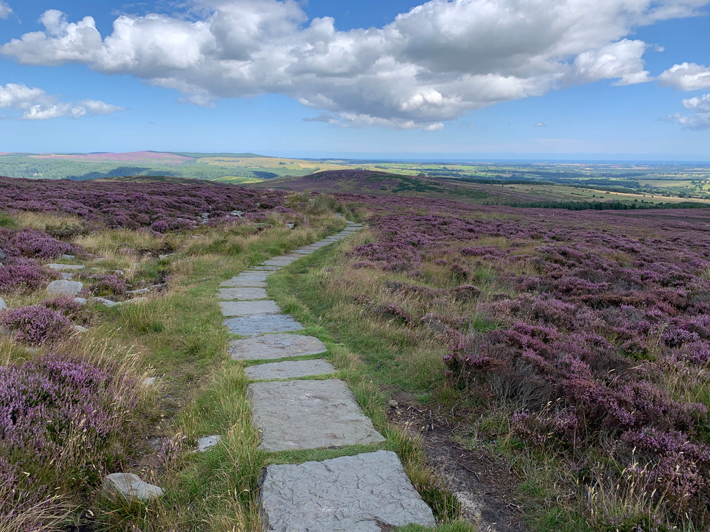 The path on Simonside 