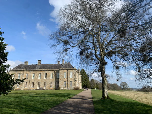 Wallington Hall National Trust Northumberland