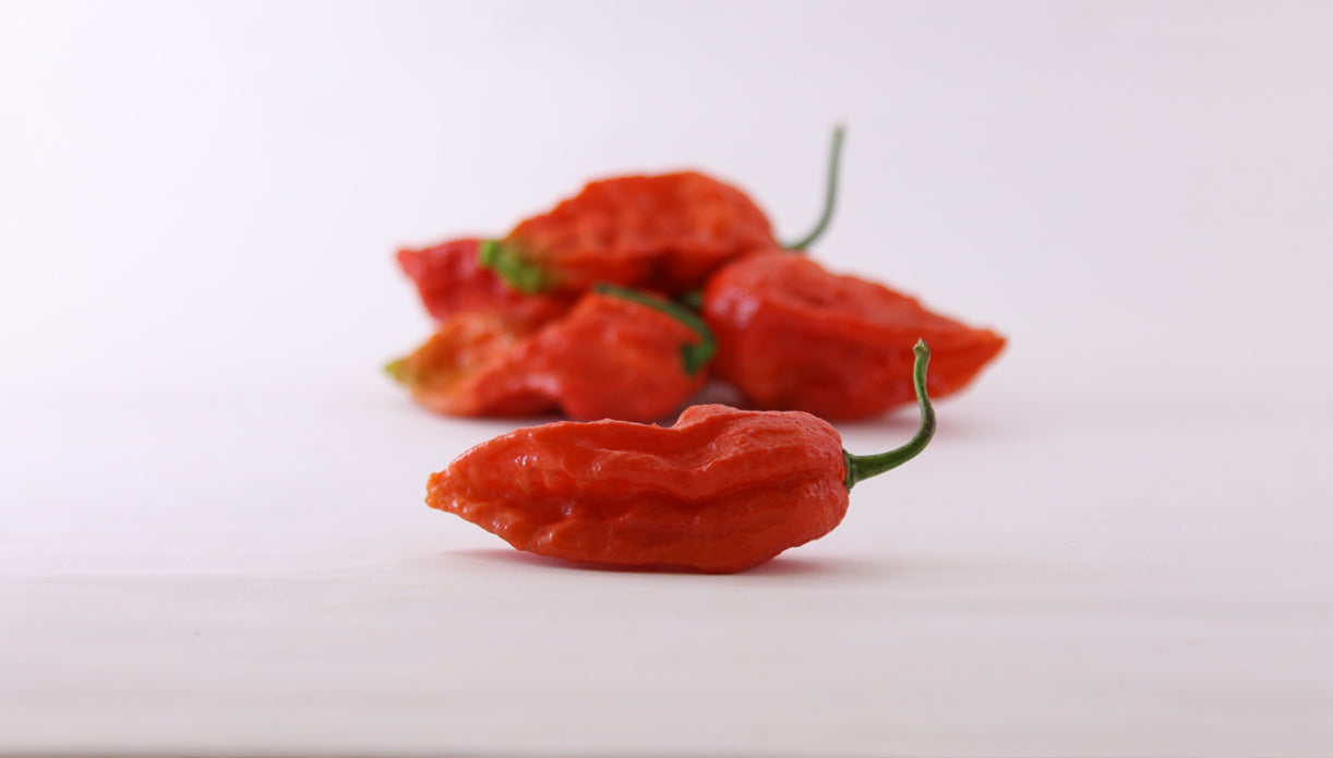 Bhut Jolokia Raja Mircha Ghost Pepper