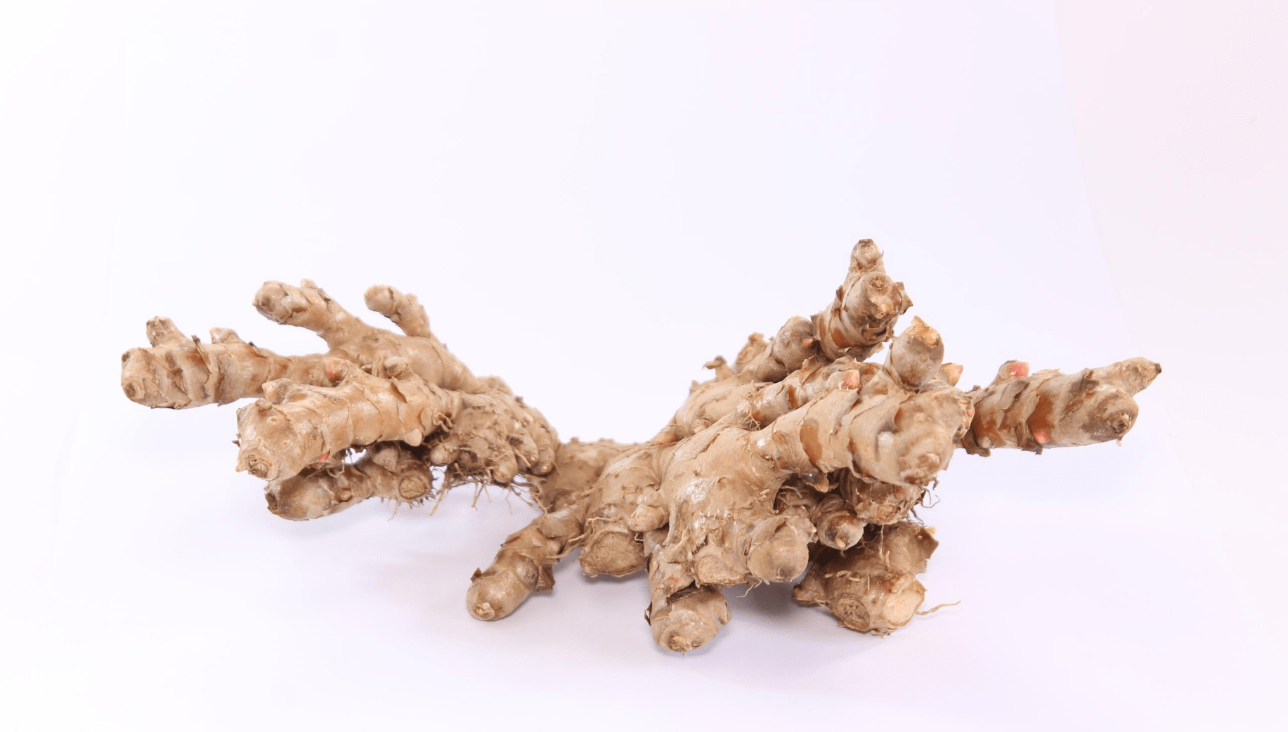 Ginger from Meghalaya