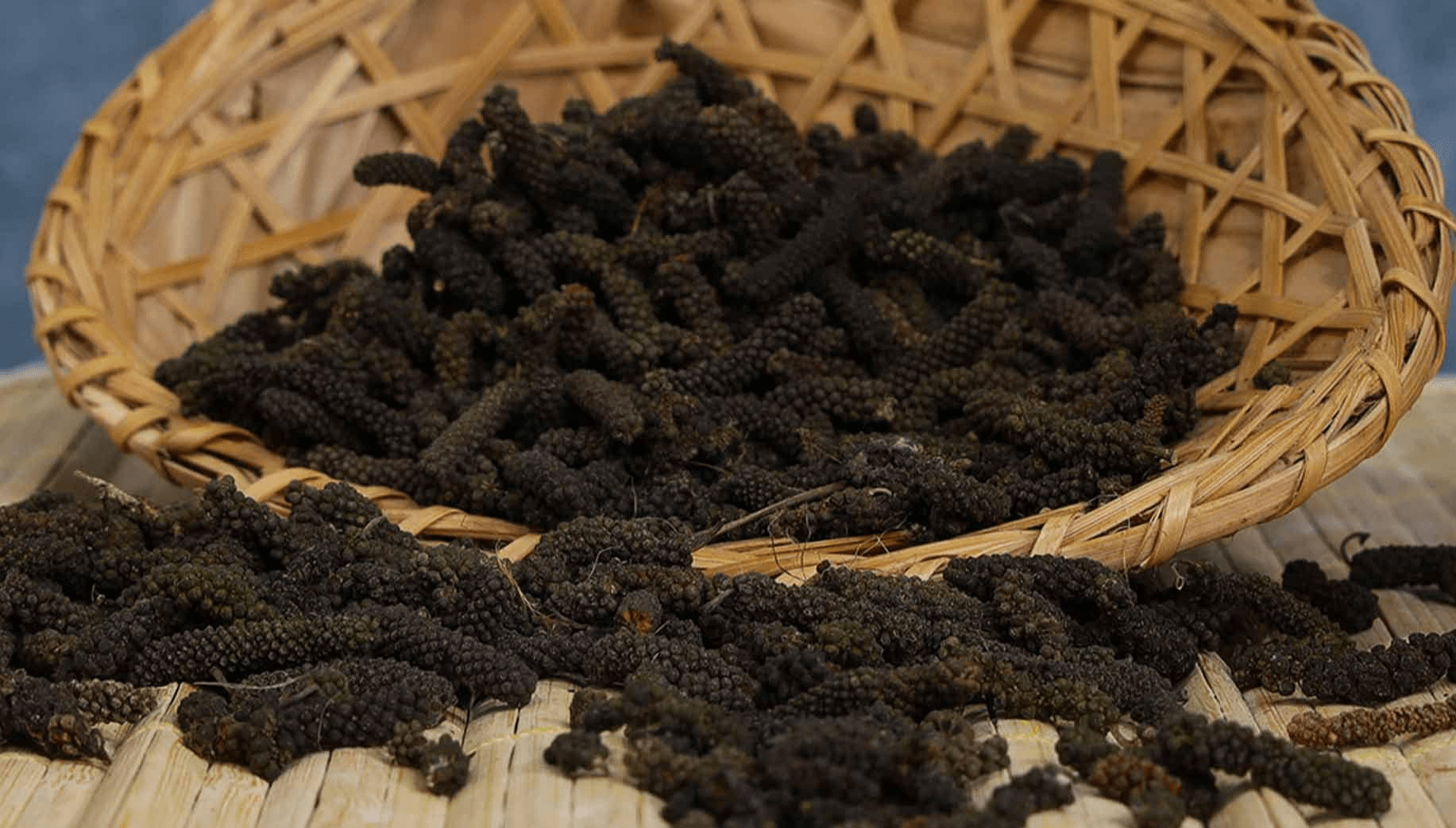 Long pepper from Meghalaya