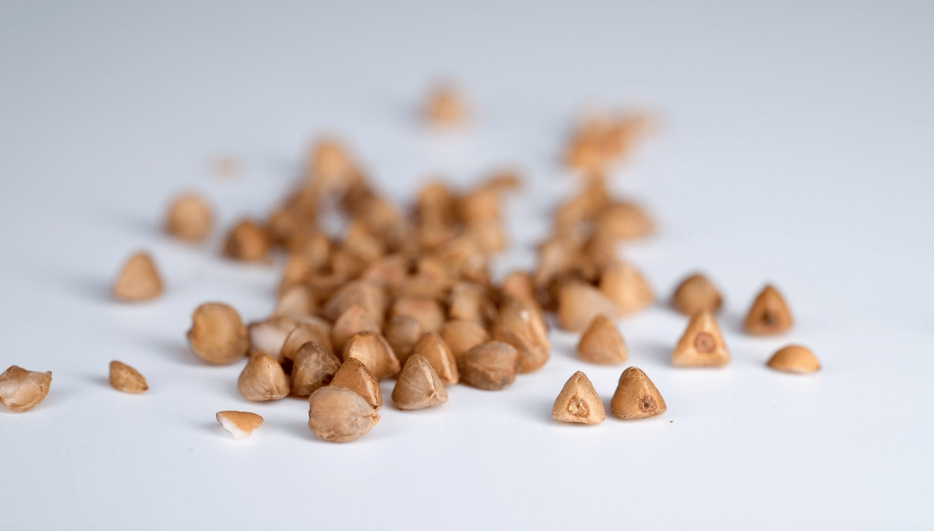 Buckwheat grown in Meghalaya