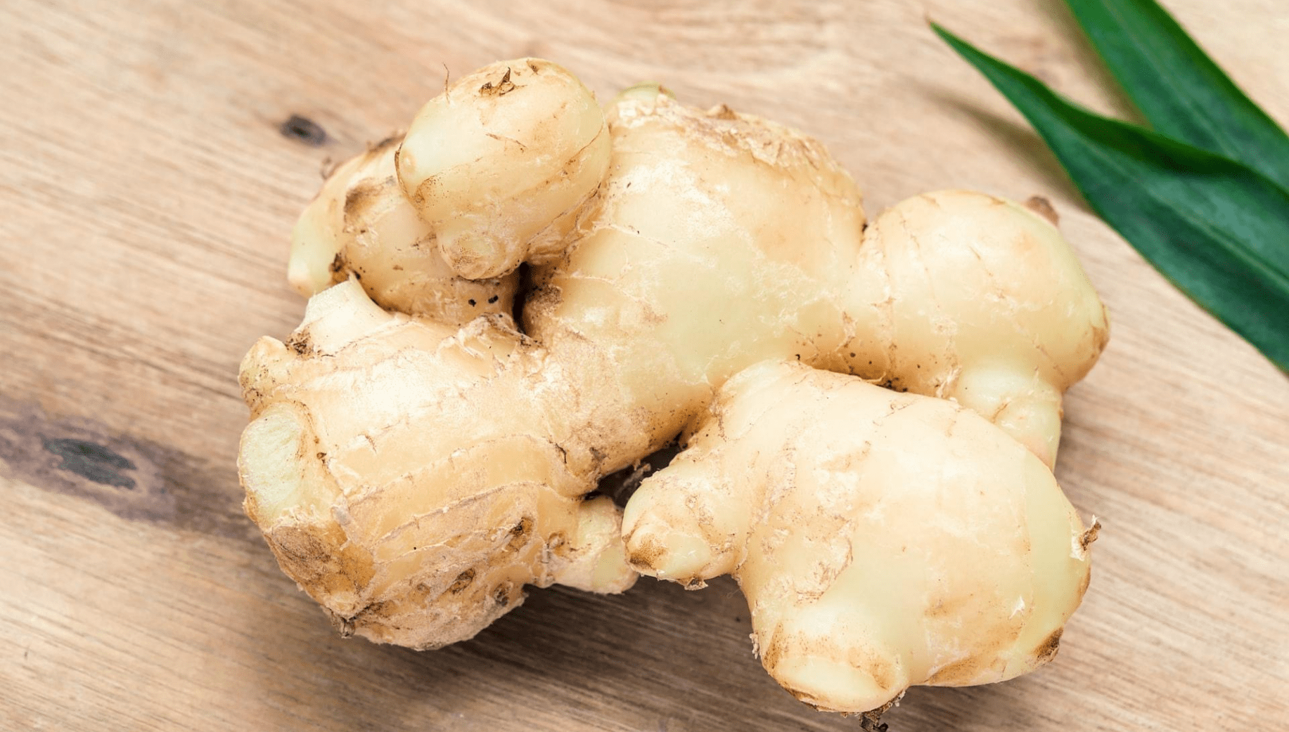 Aromatic ginger from Meghalaya