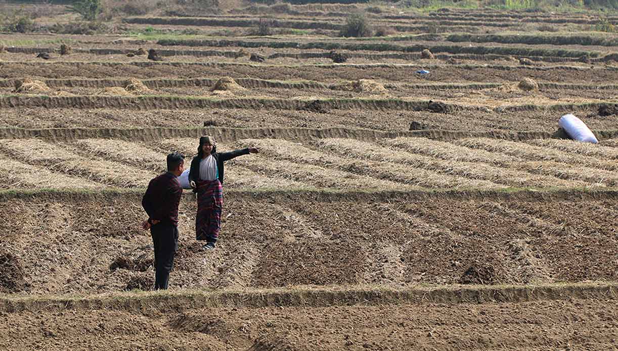 Farmers in Field