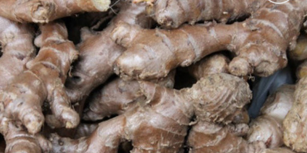 ginger for hair growth