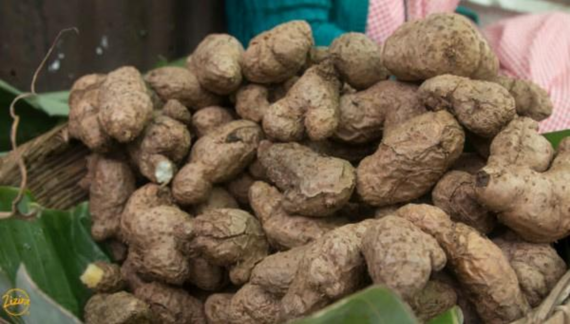 Meghalaya tapioca being sold a Meghalaya market