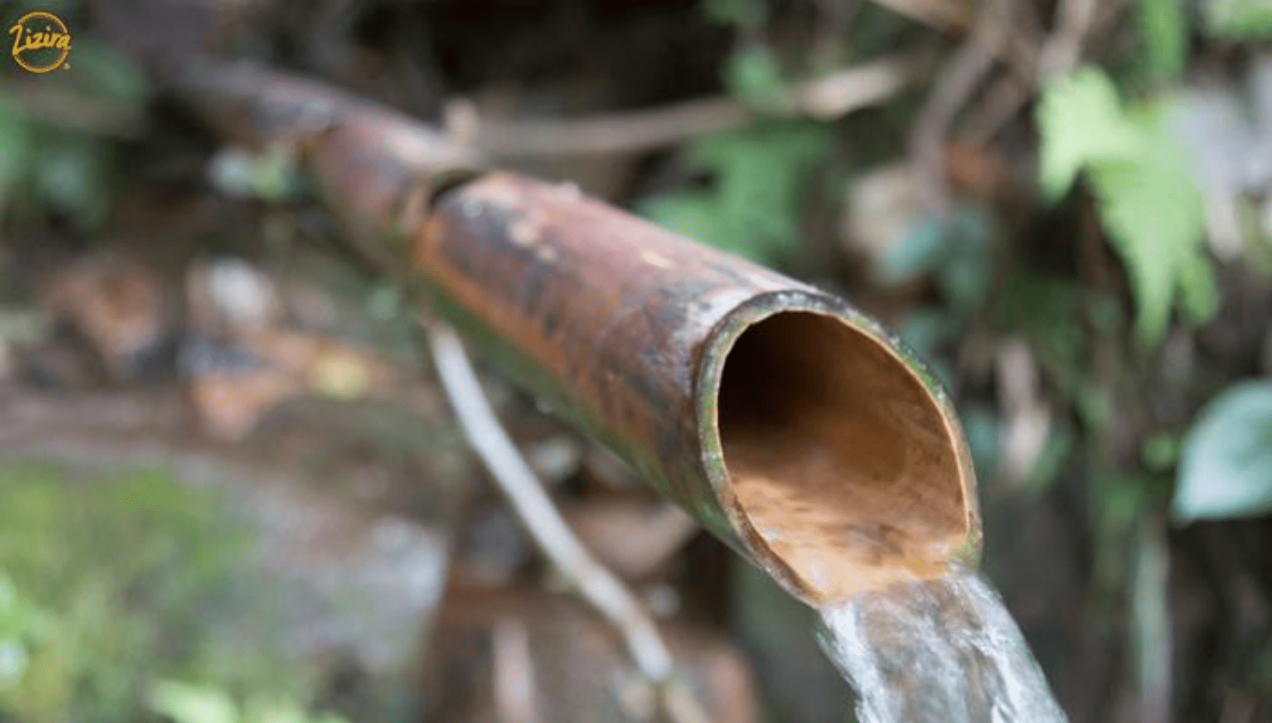 Bamboo drip irrigation practiced in Meghalaya