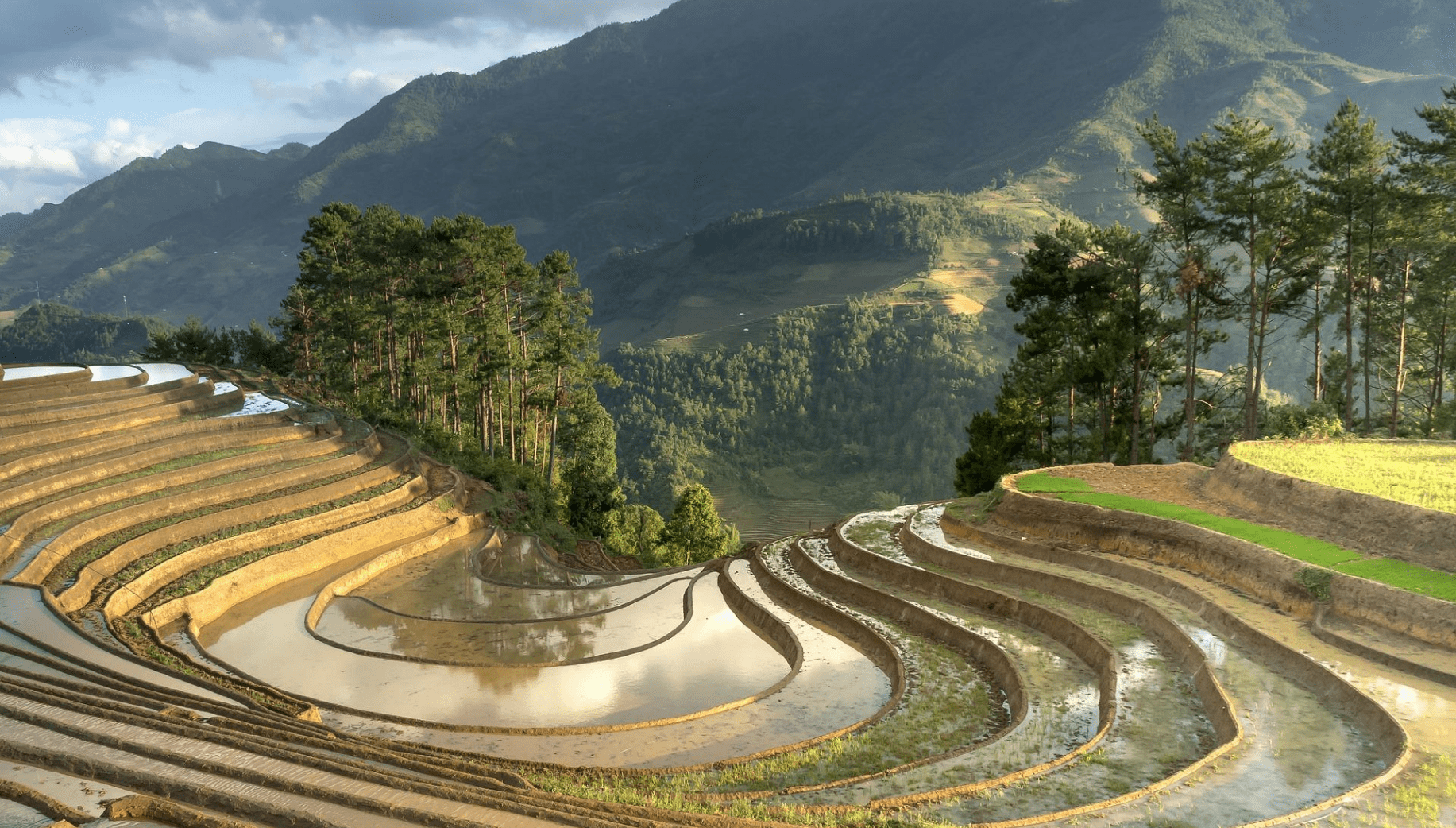 Stone terrace farming in Meghalaya