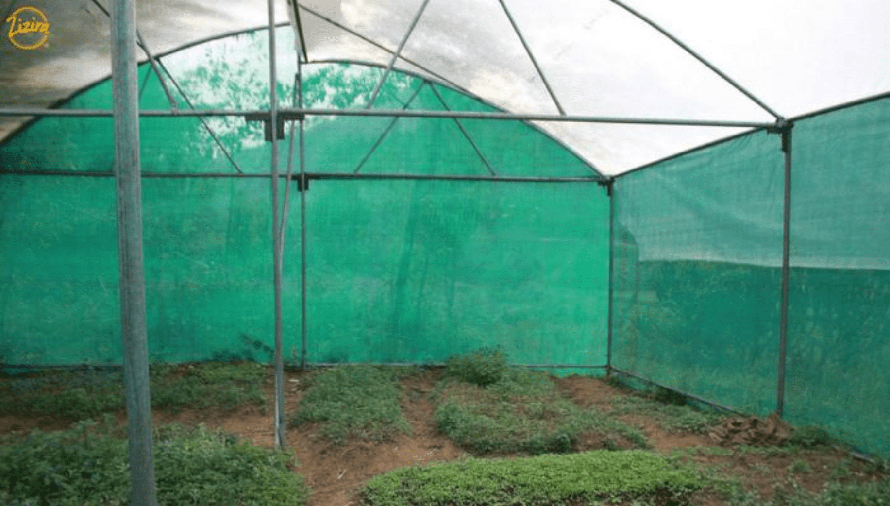 Organic farm set up in Meghalaya