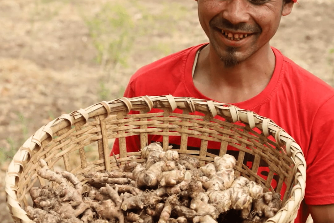 farmer holding ing makhir ginger