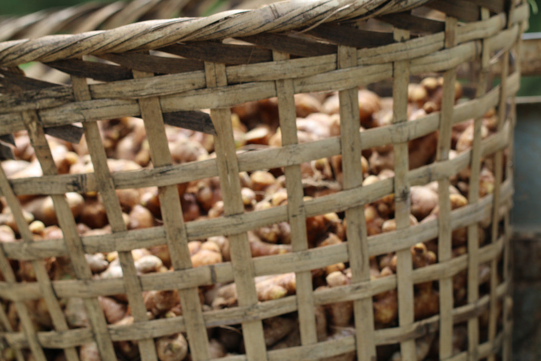 ginger grown in Meghalaya