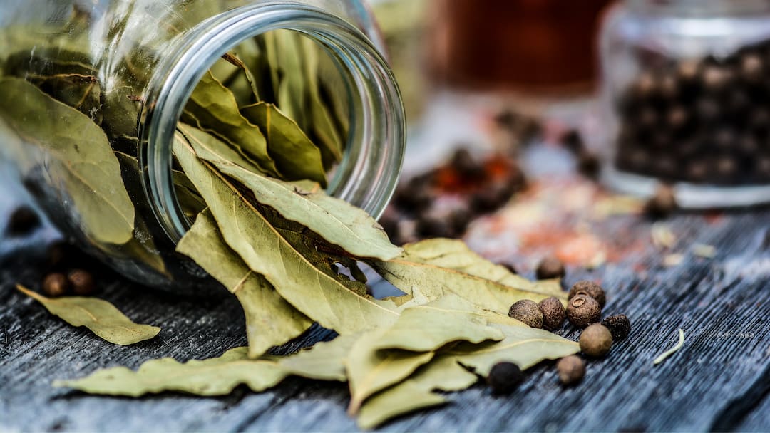 spices and herbs 