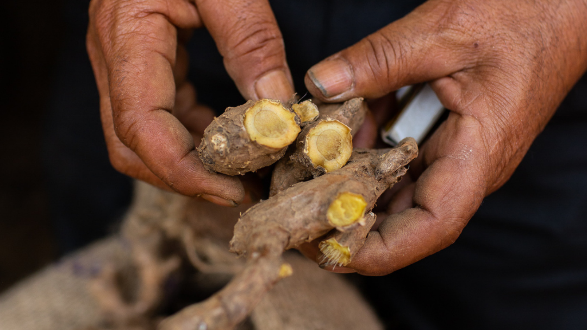 ing makhir ginger powder