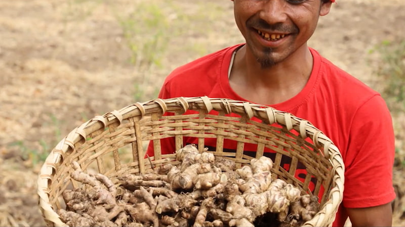 ing makhir ginger in basket