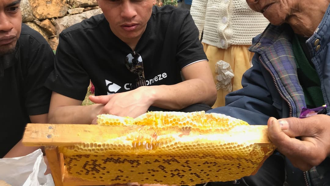 Honey Comb