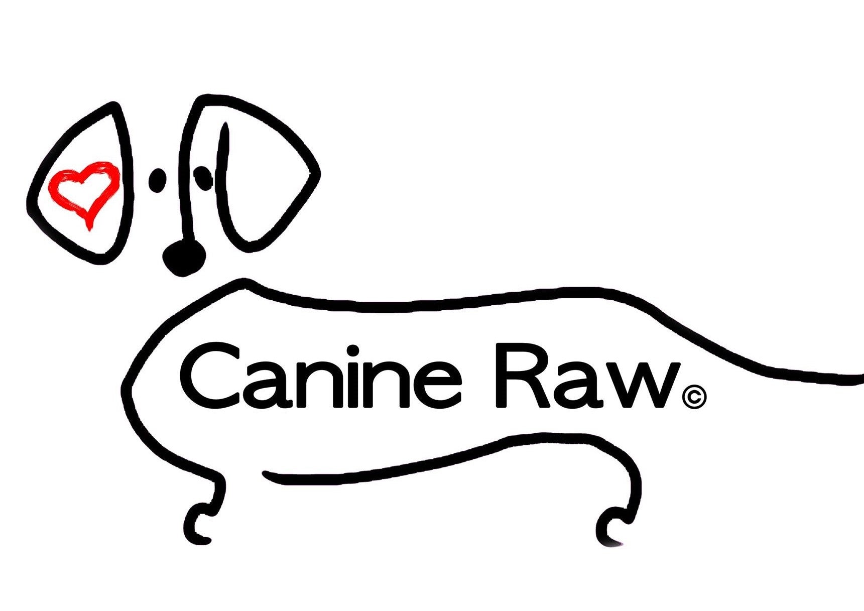 raw canine