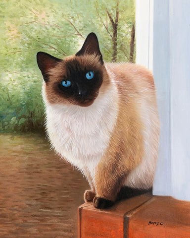 Feline Majesty Timeless Beauty in Cat Portraits
