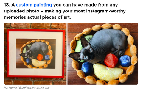 Paintru Pet Portraits Buzzfeed Feature