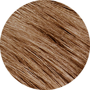 Tints Of Nature 6n Natural Dark Blonde Hair Colour