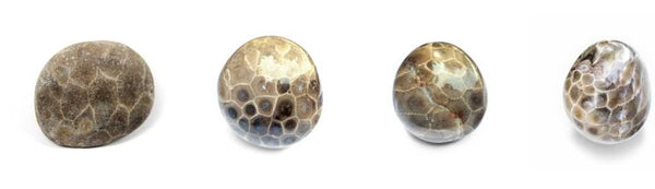 Petoskey stone meaning by the 7 directions