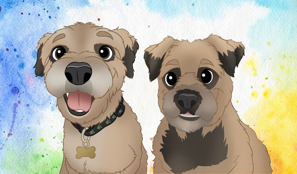 Jack Russel Border Terrier Cartoon Style Pet Portrait