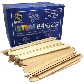 STEM Basics: Matchsticks - 1000 Count - TCR20935