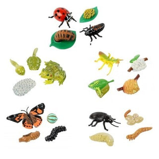 Insect Lore Ladybug Life Cycle - 4 PC Insect Figure Shows Life Of Lady Bug