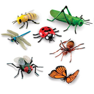 Big Bunch of Bugs – CM School Supply