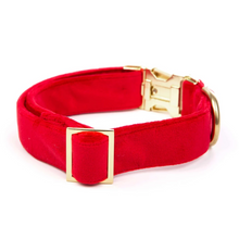 Load image into Gallery viewer, Cranberry Velvet Dog Collar