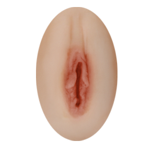 Fixed vagina option for sex dolls