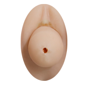 Vagina insert option for sex dolls