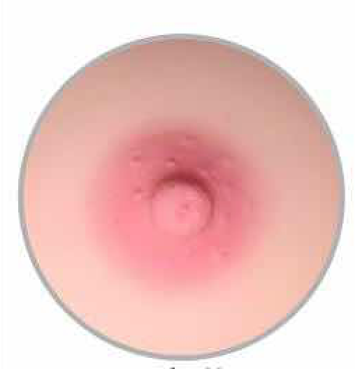 Pink areola option for sex dolls