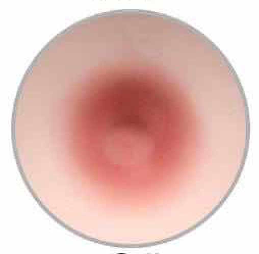 Medium areola option for sex dolls