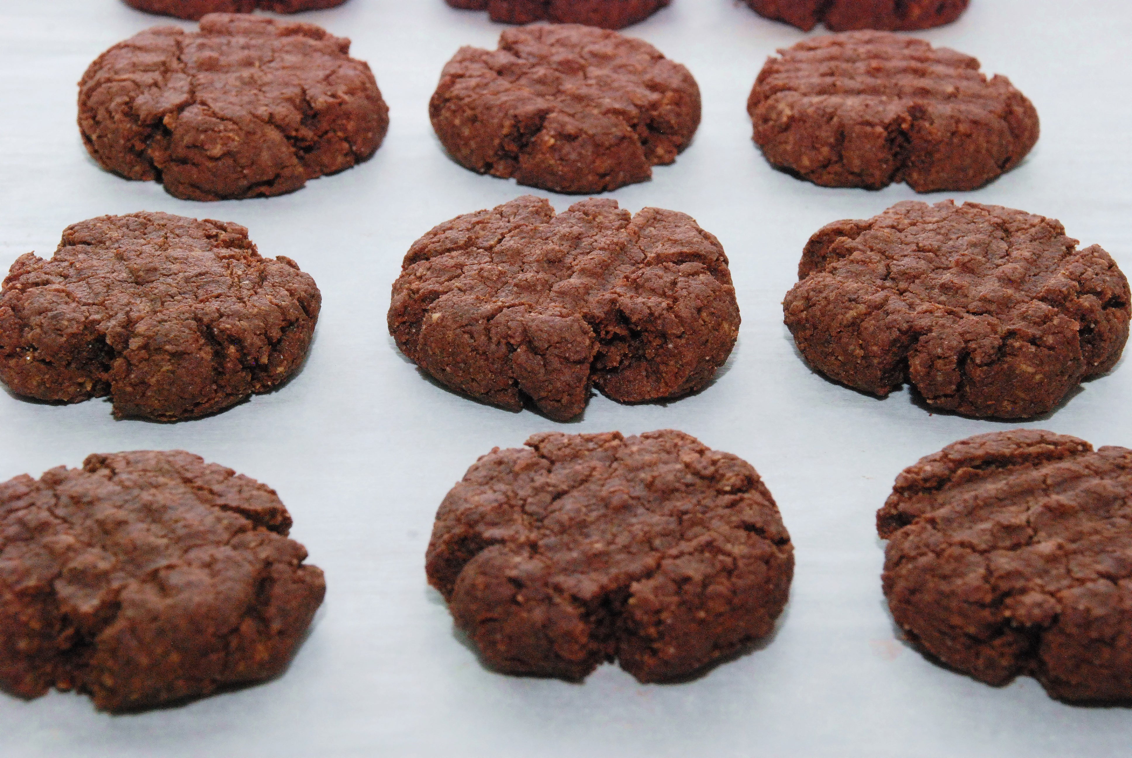 Chocolate Peanut Butter Cookies