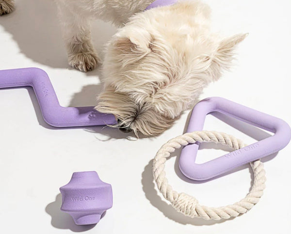 10 Fable Pets Products That Are as Stylish as They Are Functional