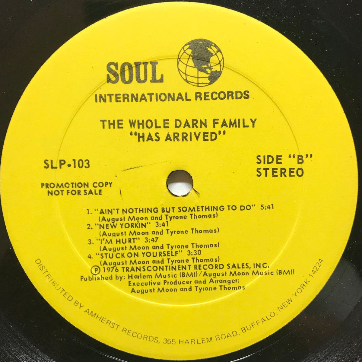 Whole Darn Family, The / Has Arrived | VINYL7 RECORDS