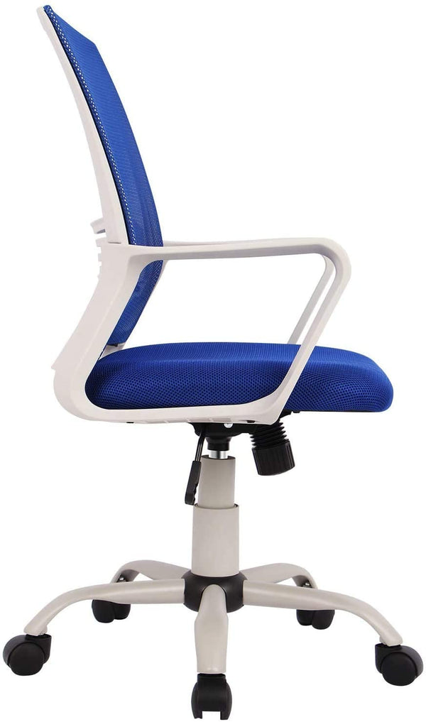 Smugdesk Ergonomic High Back Adjustable Office Chair-BLUE – SmugDesk