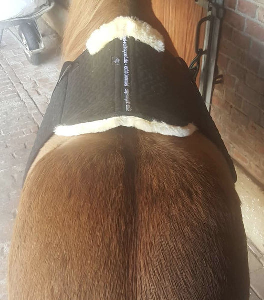 Fur saddle blanket Tölt for Icelandic horses