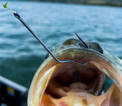 Spearpoint Finesse hooks for river smallmouth 