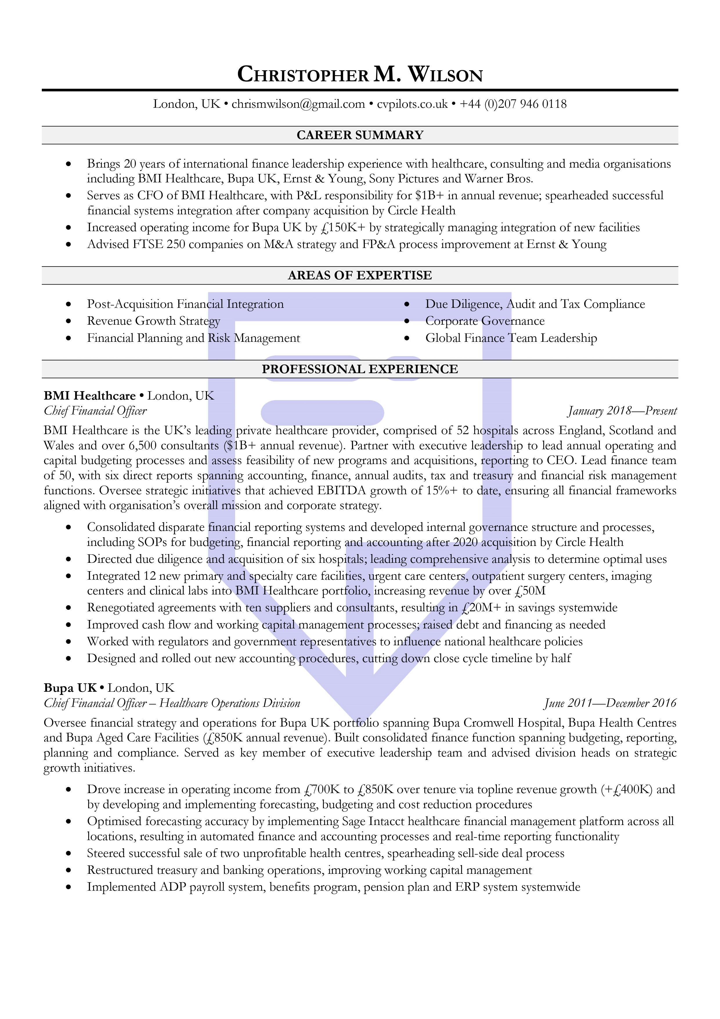 Executive Finance CV Example