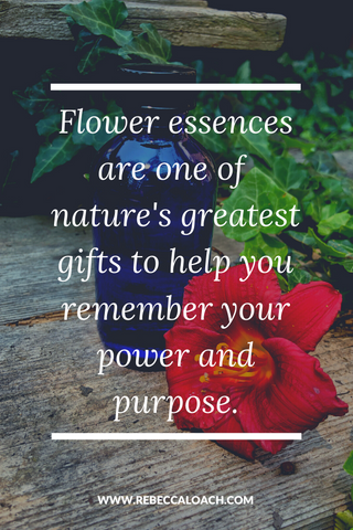 Flower essences are nature’s gift to us, a way for us to carry the higher frequencies in our being so that we can release restrictions and return to balance physically, mentally, emotionally, and spiritually. ⁣ Read more to discover how nature can support you to discover your power and purpose.