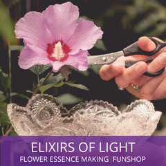 Elixirs of Light Essence Making Workshop Virtual Class