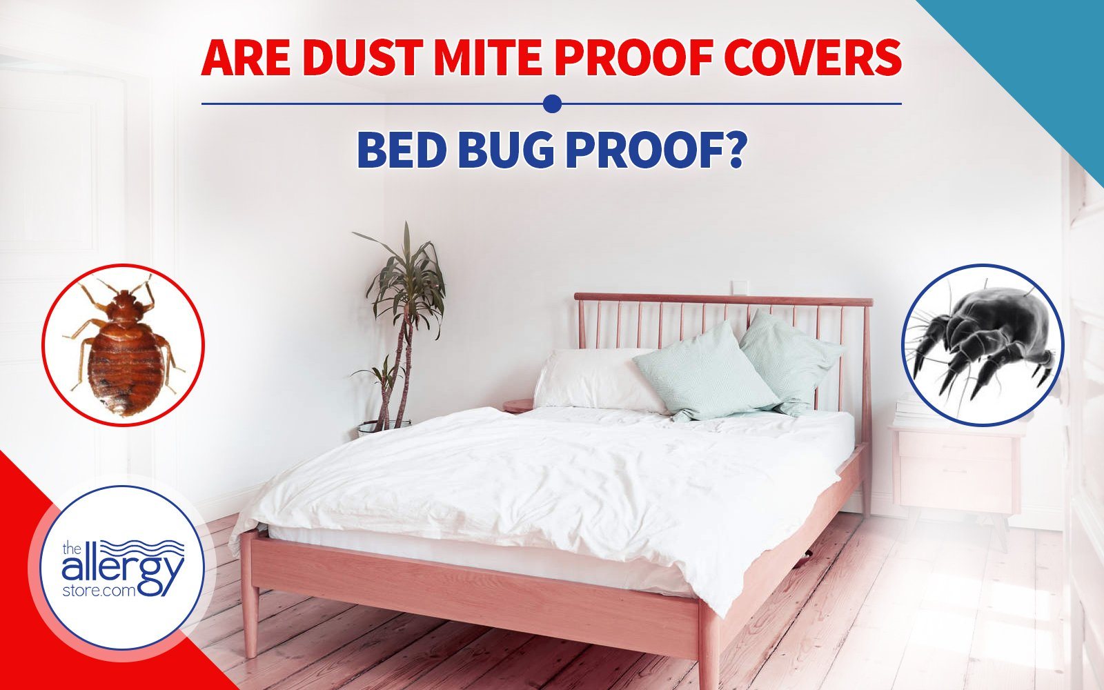 Are Dust Mite Proof Covers Bed Bug Proof Allergystore Com