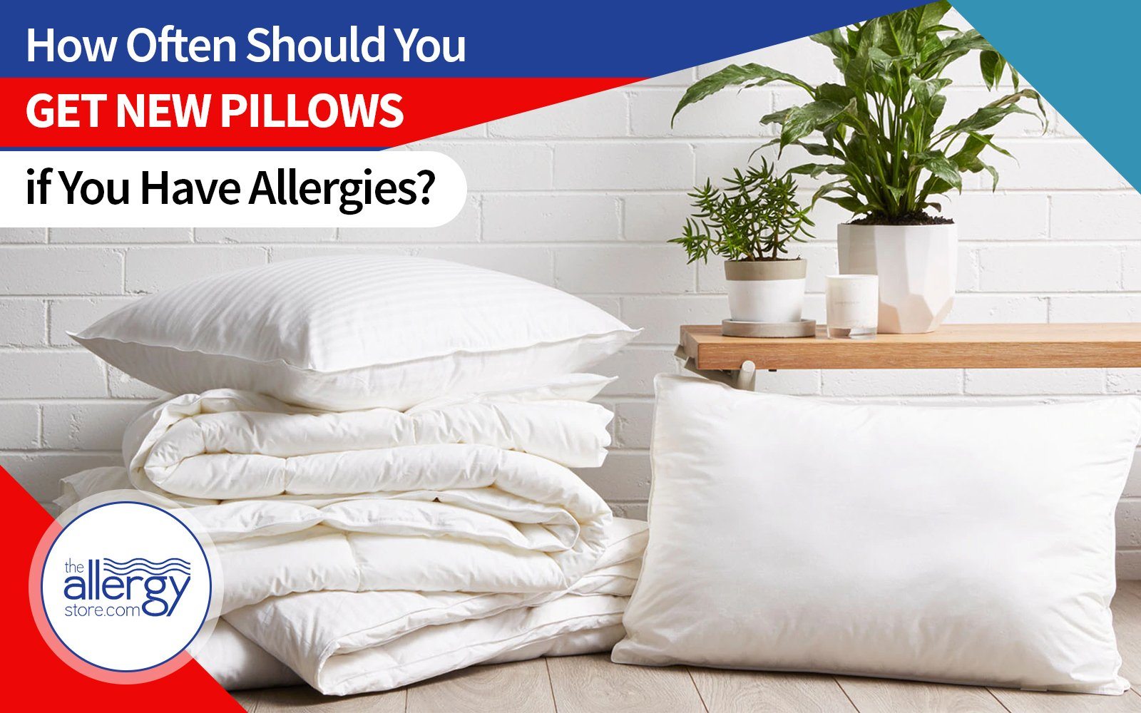 best pillow for allergies