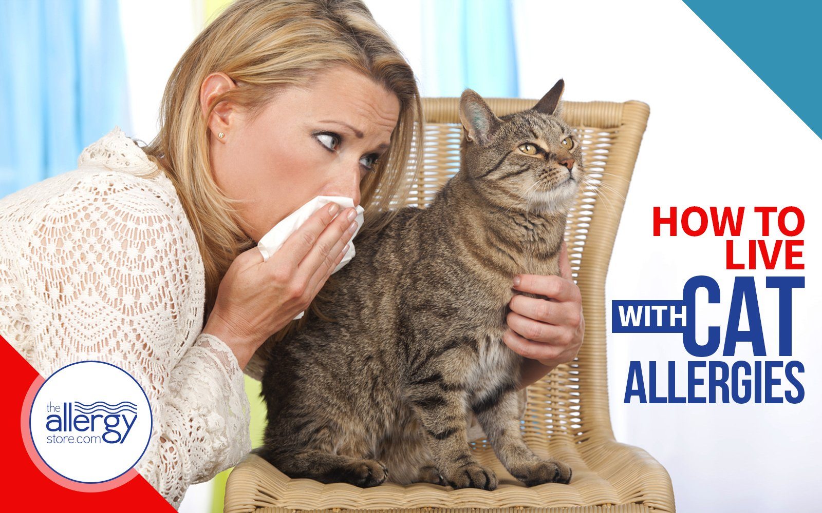 liezlmdesigns: What Causes Cat Allergies