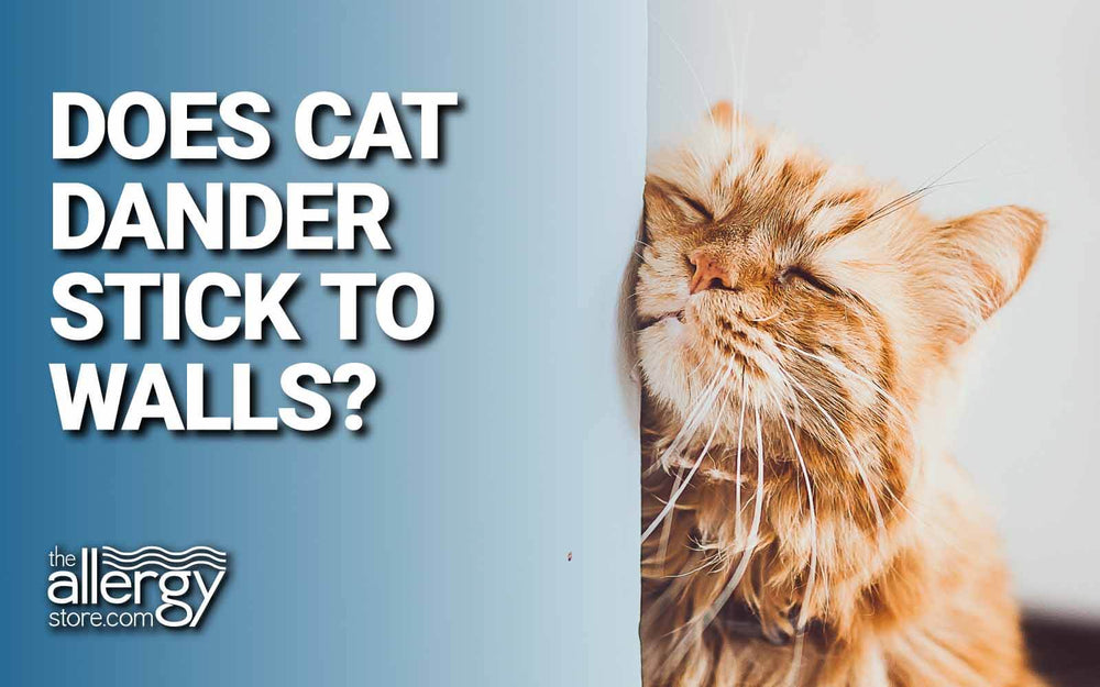 is cat dander different from dog dander