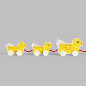 pull along duck toy